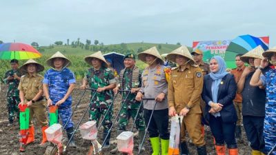 Wujudkan Swasembada Pangan 2025, Kapolda Sulsel Bersama Forkopimda Tanam Jagung 1 Hektar