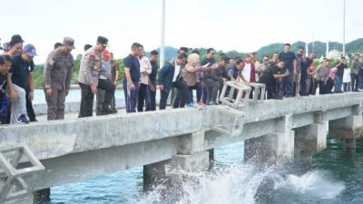 Lanal Mamuju Bersama Pemprov Sulbar Turunkan Seribu Karang Buatan