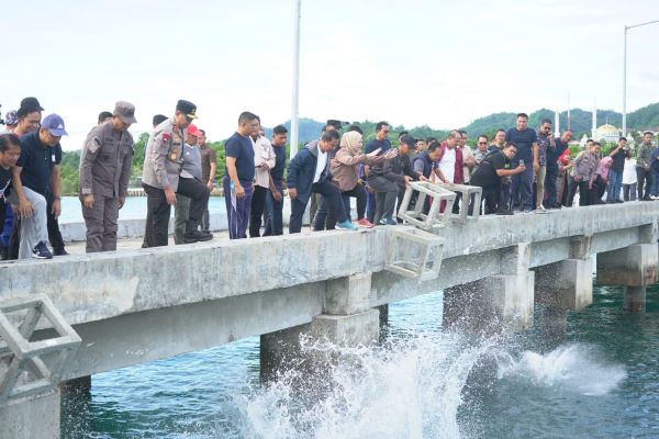 Lanal Mamuju Bersama Pemprov Sulbar Turunkan Seribu Karang Buatan