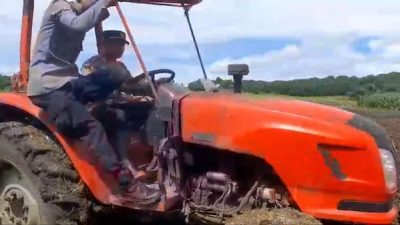 Dukung Program Ketahanan Pangan Nasional, Kapolsek Bangkala Berjibaku Siapkan Lahan Jagung