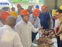 Kunjungi Sulsel, Menko Bidang Pangan Zulkifli Hasan Dorong Hilirisasi Kakao