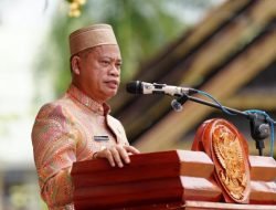 Sulsel Siap Wujudkan Swasembada Pangan 2025, Tanpa Impor Beras