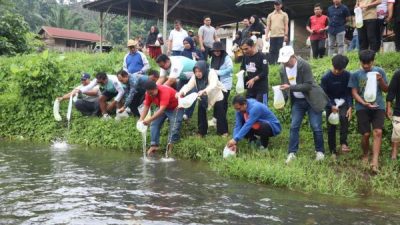 Kolaborasi Pemprov Sulbar dan Warga Tebar Benih Ikan di Kali Mamuju