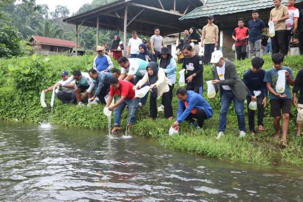 Kolaborasi Pemprov Sulbar dan Warga Tebar Benih Ikan di Kali Mamuju