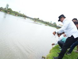 Tebar Bibit Ikan Nila, Bahtiar Ingin Bendung Sekka-Sekka jadi Multifungsi