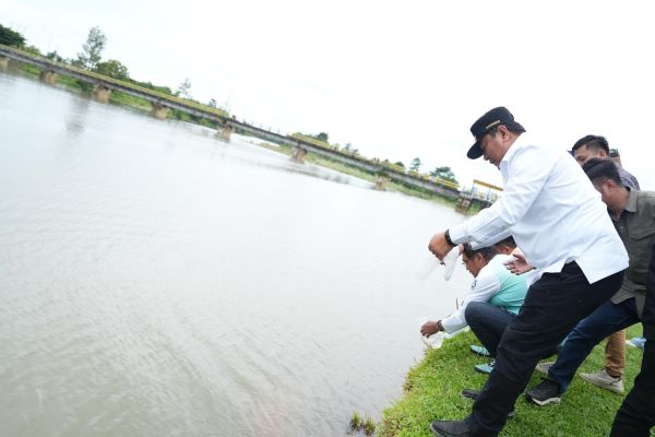 Tebar Bibit Ikan Nila, Bahtiar Ingin Bendung Sekka-Sekka jadi Multifungsi