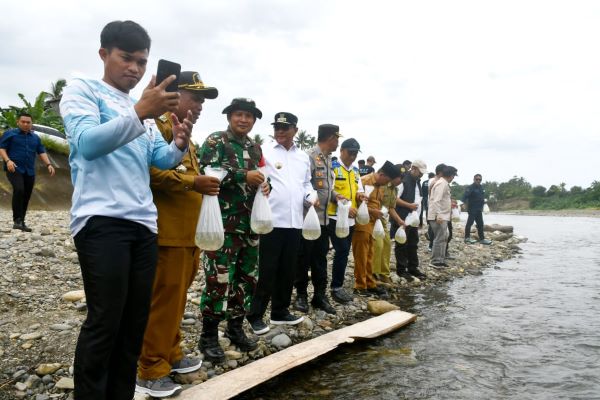 Kejar Target, 30 Ribu Benih Ikan Nila Kembali Dilepas di Bendungan Banua