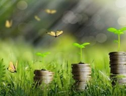 Ekonomi Hijau Jadi Prioritas, Sulsel Dorong Investasi Berkelanjutan