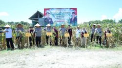 Dukung Ketahanan Pangan Nasional, Kapolda Sulsel Hadiri Panen Raya Jagung di Bulukumba