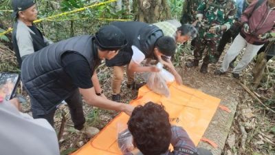 Kerangka Manusia Ditemukan dengan Kondisi Mulut Terikat Kain di Hutan Palopo