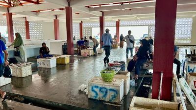 TPI Bentenge Resmi Beroperasi, Pedagang Ikan Merasa Senang!