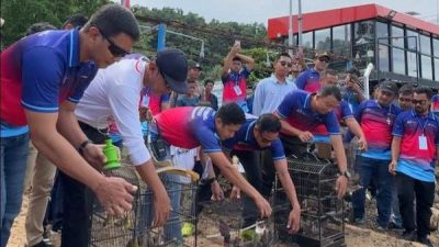 Pelepasliaran Penyu dan Burung Maleo di Tolitoli, Wujud Kepedulian Lingkungan Pertamina Sulawesi