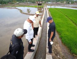 Pembangunan Irigasi Tersier di Bulukumba Dukung Tiga Kali Panen Dalam Setahun