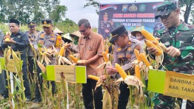 Takalar Panen Jagung Kuning, Dukung Program Ketahanan Pangan Presiden Prabowo