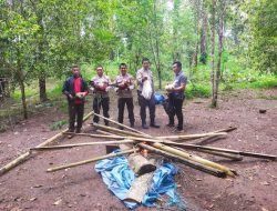 Polisi Gerebek Arena Sabung Ayam di Bulukumba, Pelaku Kabur