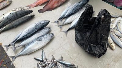 Manfaat Konsumsi Ikan Saat Puasa