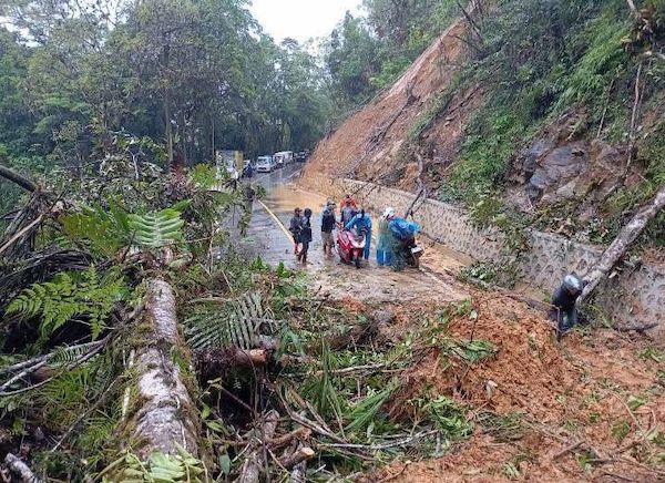 Longsor di Lutim, Jalan Trans Sulawesi di Mangkutana Lumpuh