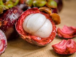 Inilah 4 Manfaat Buah Manggis Bagi Kesehatan Tubuh