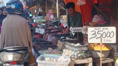 Pedagang dan Pembeli Mengeluh, Harga Bahan Pokok di Pasar Terong Melonjak