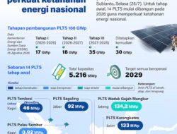 PLTS 100 GWp Perkuat Ketahanan Energi Nasional