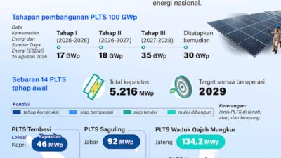 PLTS 100 GWp Perkuat Ketahanan Energi Nasional