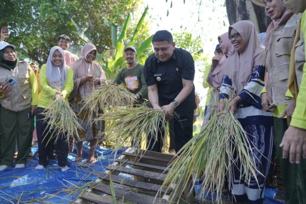 Urban Farming dan Musyawarah Tani, Strategi Makassar Menjawab Krisis Lahan