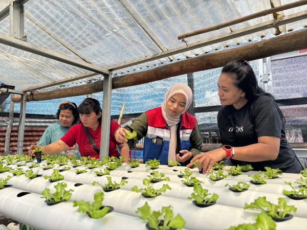 Wujudkan Ketahanan Pangan Keluarga, Pertamina IT Bitung Dukung Pemberdayaan Melalui Hidroponik