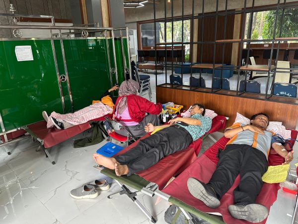 PLN UID Sulselrabar Gandeng Dinkes Gelar Donor Darah, 56 Kantong Terkumpul