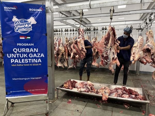 Bosowa Peduli Kirim Daging Kurban ke Gaza