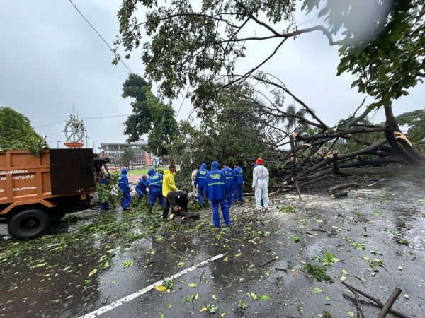 Pohon Tumbang dan Rumah Rusak, Bulukumba Dilanda Cuaca Ekstrem