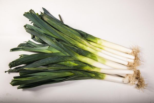 Rahasia Sehat dari Dapur: Mengenal Manfaat Daun Bawang