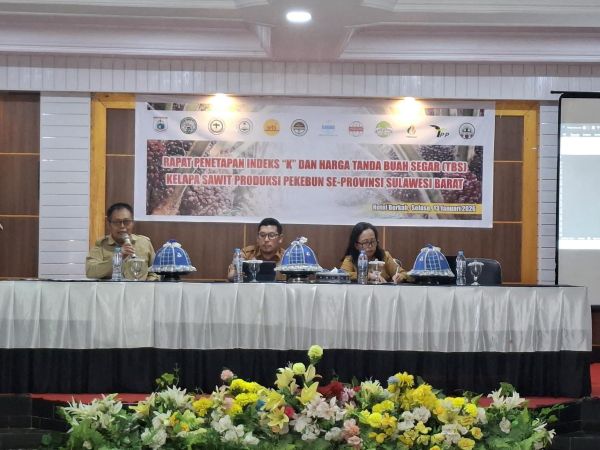 Harga TBS Kelapa Sawit Sulbar Januari 2026 Ditetapkan Rp3.092,15 per Kilogram