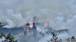 Menjaga Langit Tetap Biru di Tengah Kepungan Kebakaran Hutan dan Lahan