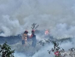 Menjaga Langit Tetap Biru di Tengah Kepungan Kebakaran Hutan dan Lahan