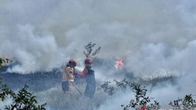 Menjaga Langit Tetap Biru di Tengah Kepungan Kebakaran Hutan dan Lahan