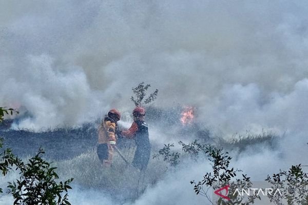 Menjaga Langit Tetap Biru di Tengah Kepungan Kebakaran Hutan dan Lahan