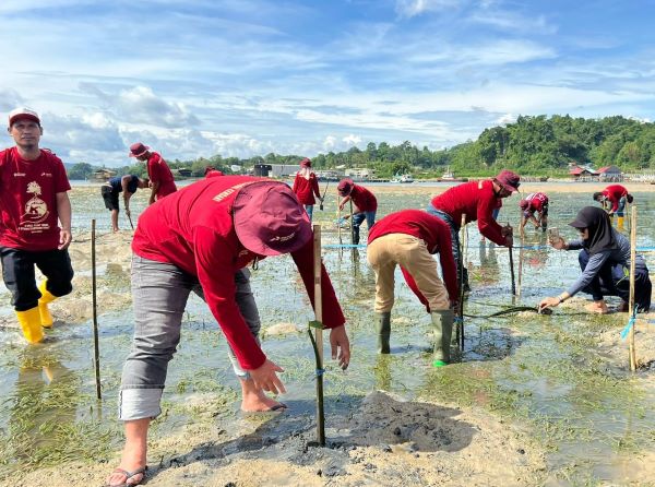 Wujudkan Ekosistem Pesisir, Pertamina Sulawesi Tanam 1.000 Mangrove di Kendari