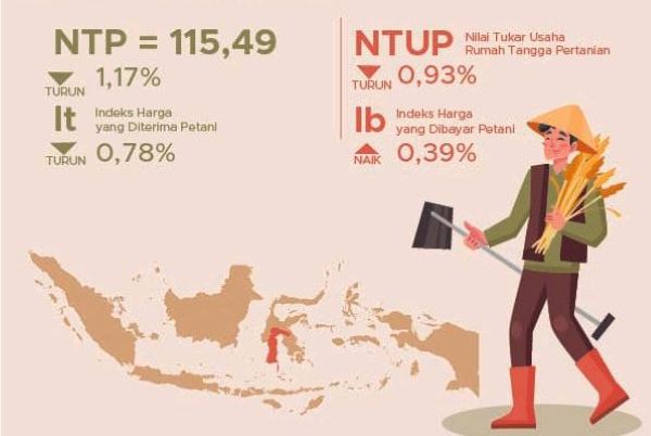 NTP Sulsel Anjlok ke 115,49, Sinyal Daya Beli Petani Melemah