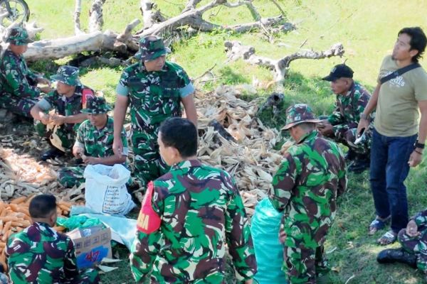 Dandim Jeneponto Pimpin Panen Raya Jagung di Bontojai
