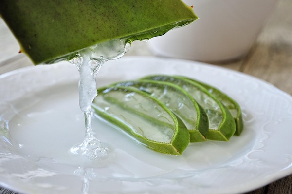 Rahasia Aloe Vera, Manfaat Lidah Buaya untuk Wajah hingga Tubuh!