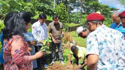 Hari Bumi, Kemenag dan Umat Katolik Tanam Sejuta Pohon Matoa
