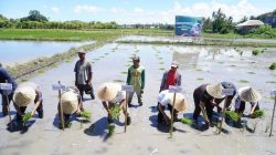 Bupati Jeneponto Hadiri Gerakan Tanam Padi Serentak Bersama Presiden