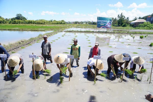 Bupati Jeneponto Hadiri Gerakan Tanam Padi Serentak Bersama Presiden