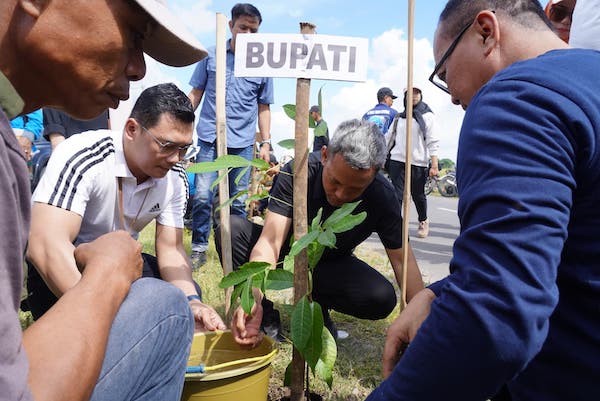 Peringati Hari Bumi, Pemkab Jeneponto Tanam 7000 Pohon