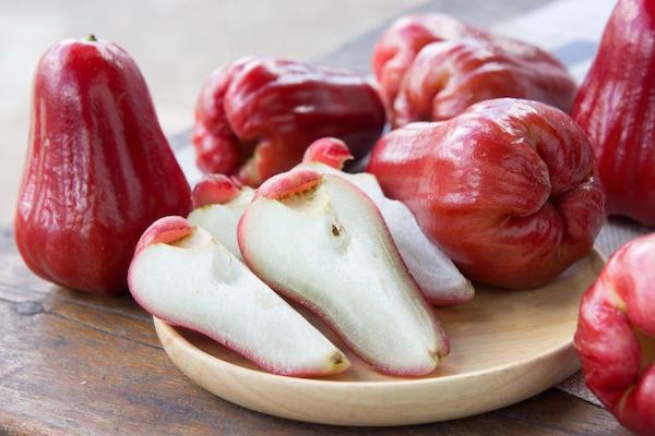 4 Manfaat Jambu Air, Salah Satunya Kuatkan Imun Tubuh