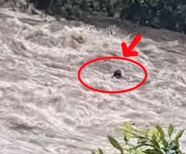 Mahasiswi Unhas Hilang Terseret Arus di Sungai Savana Maros