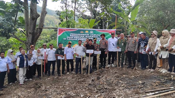 Dukung Program Ketahanan Pangan Nasional, Polres Jeneponto Lakukan Penanaman Jagung Serentak