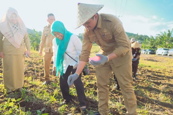 Bangkitkan Pertanian Berbasis Teknologi, Bupati Bantaeng Tanam Varietas Benih Jagung Unggul Unhas