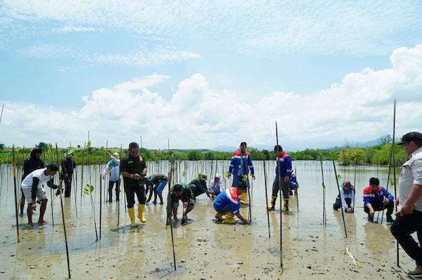 Pertamina Sulawesi Tanam 1.000 Bibit Mangrove di Cagar Alam Panua