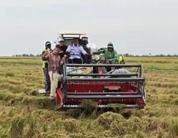 Produksi Padi di Sidrap Naik 100 Ribu Ton, Harga Gabah Rp6.800 per Kilogram